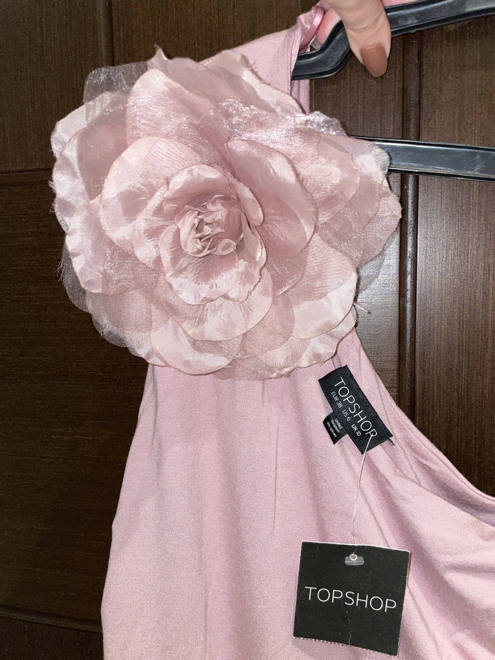 Top Shop Rose Dress (New with tag)