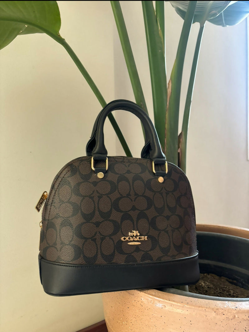 Coach Bag COPY