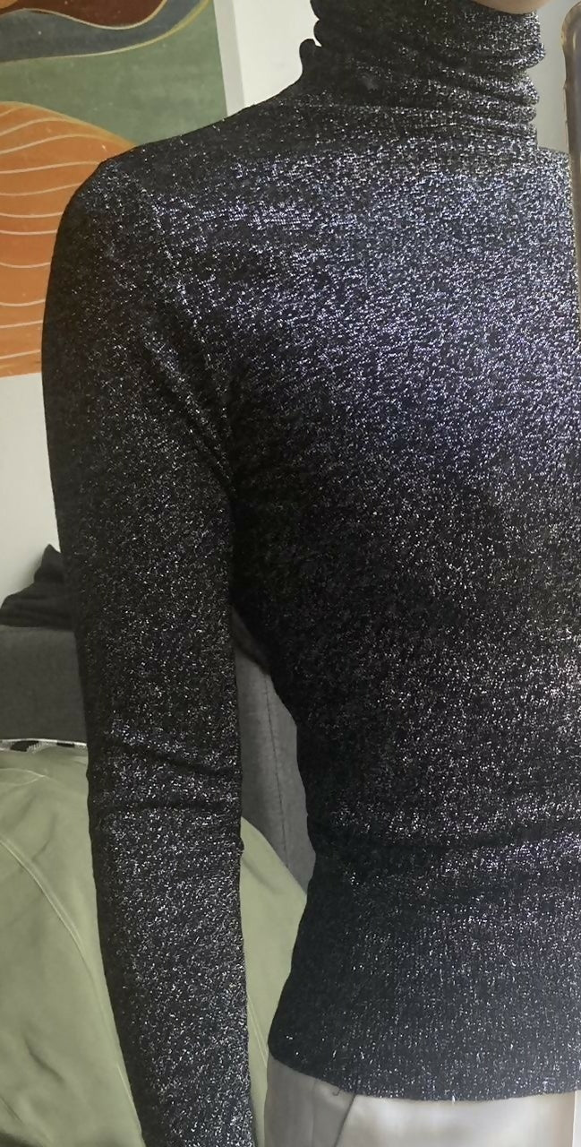 ZARA evening shimmery top