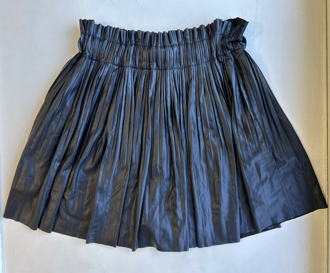 Zara Skirt 11