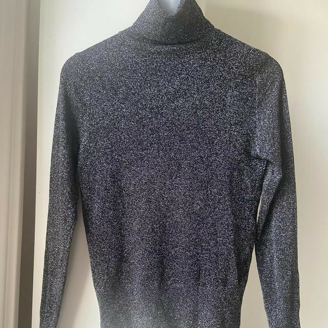ZARA evening shimmery top