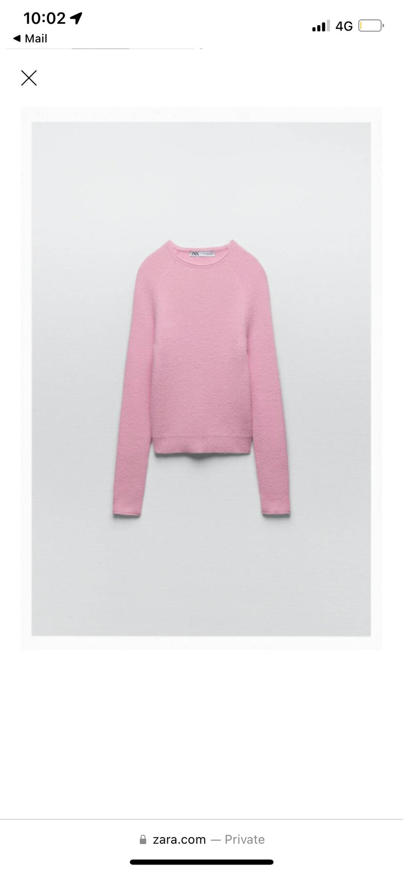 Zara Soft Touch Pink Sweatshirt Size Small