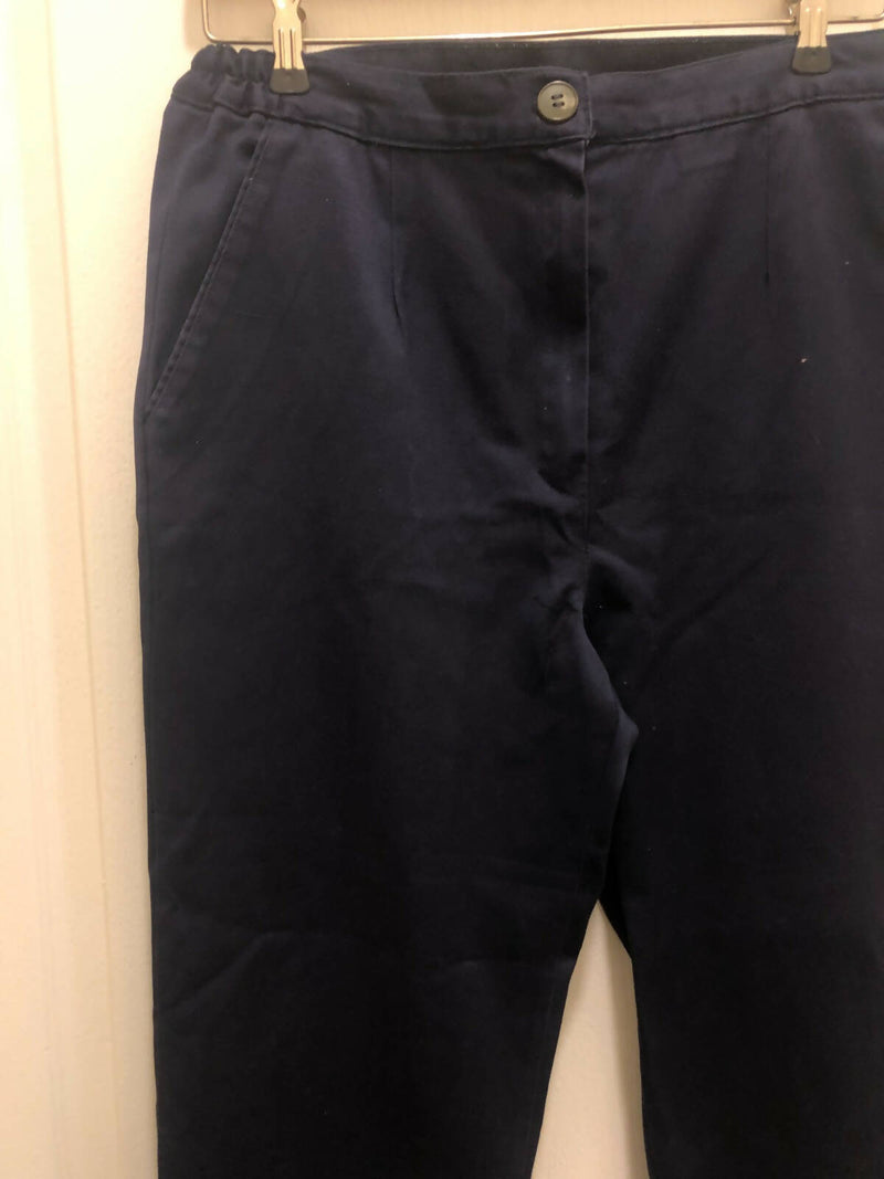 Formal Navy Pants Size: M