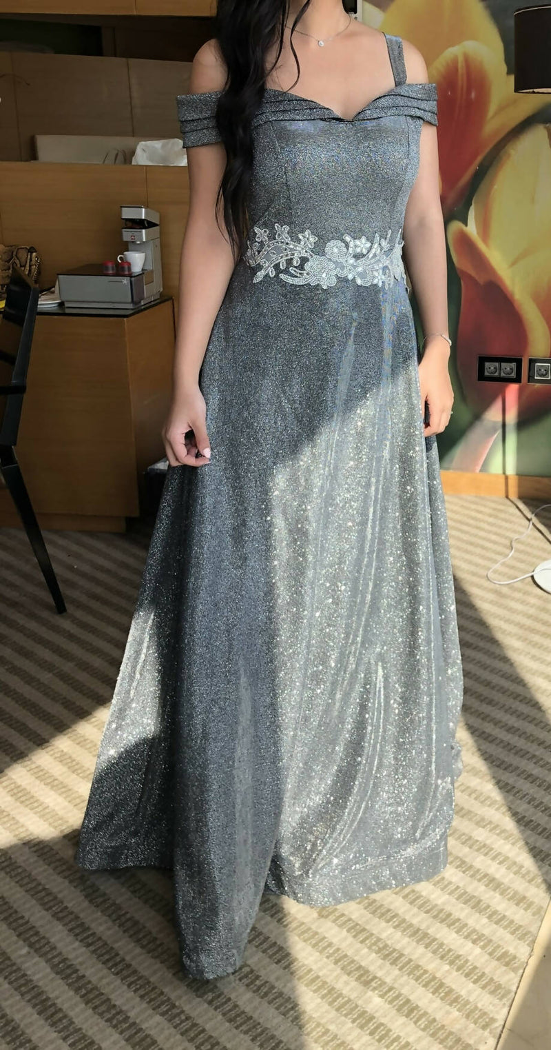 Silver Dress Fits up to 60 kilos