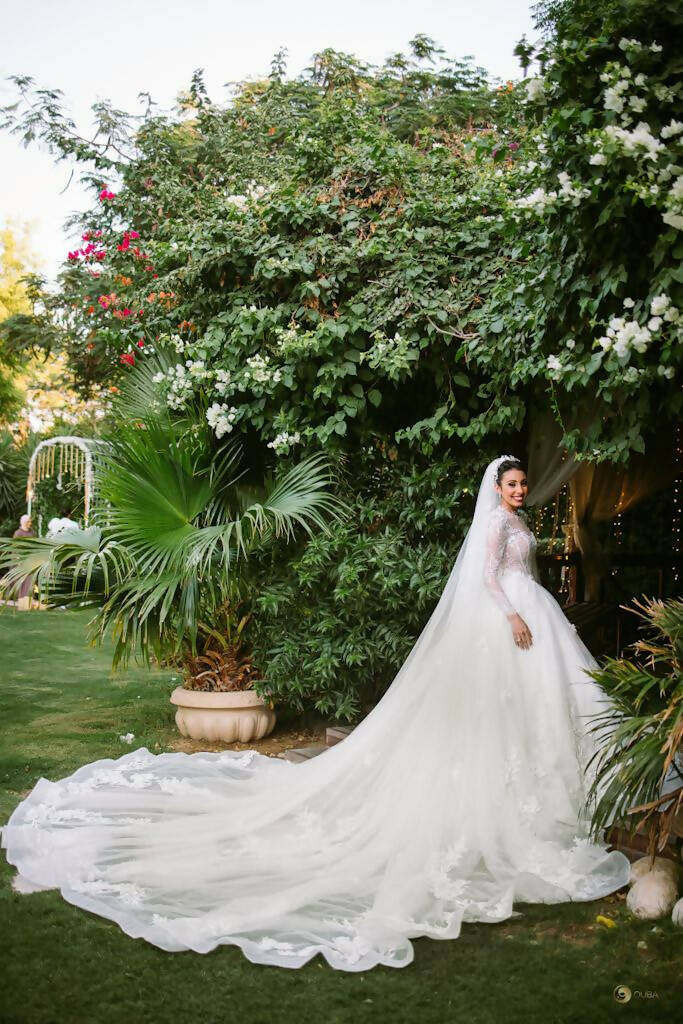 Wedding Dress with Veil