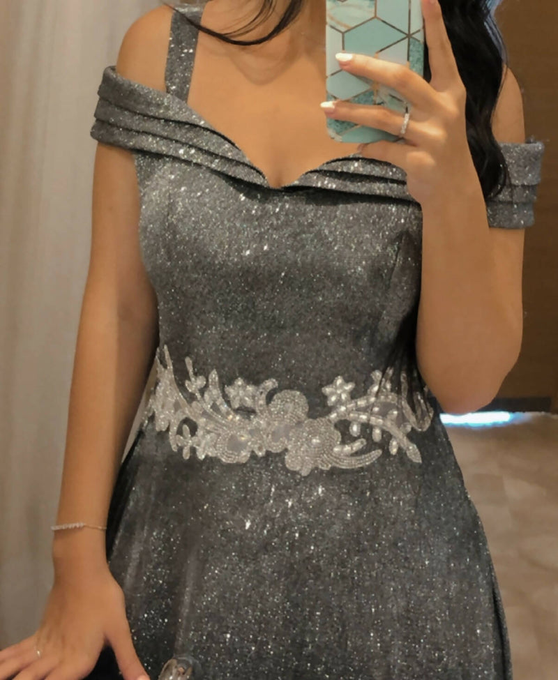 Silver Dress Fits up to 60 kilos