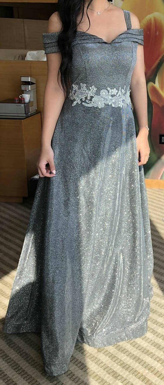 Silver Dress Fits up to 60 kilos